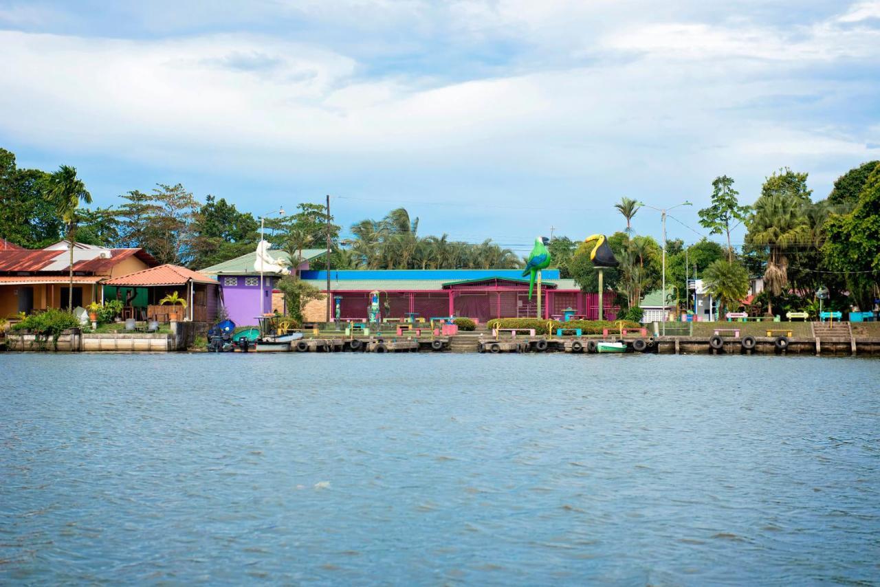 The Corner House Apartment Tortuguero Bagian luar foto