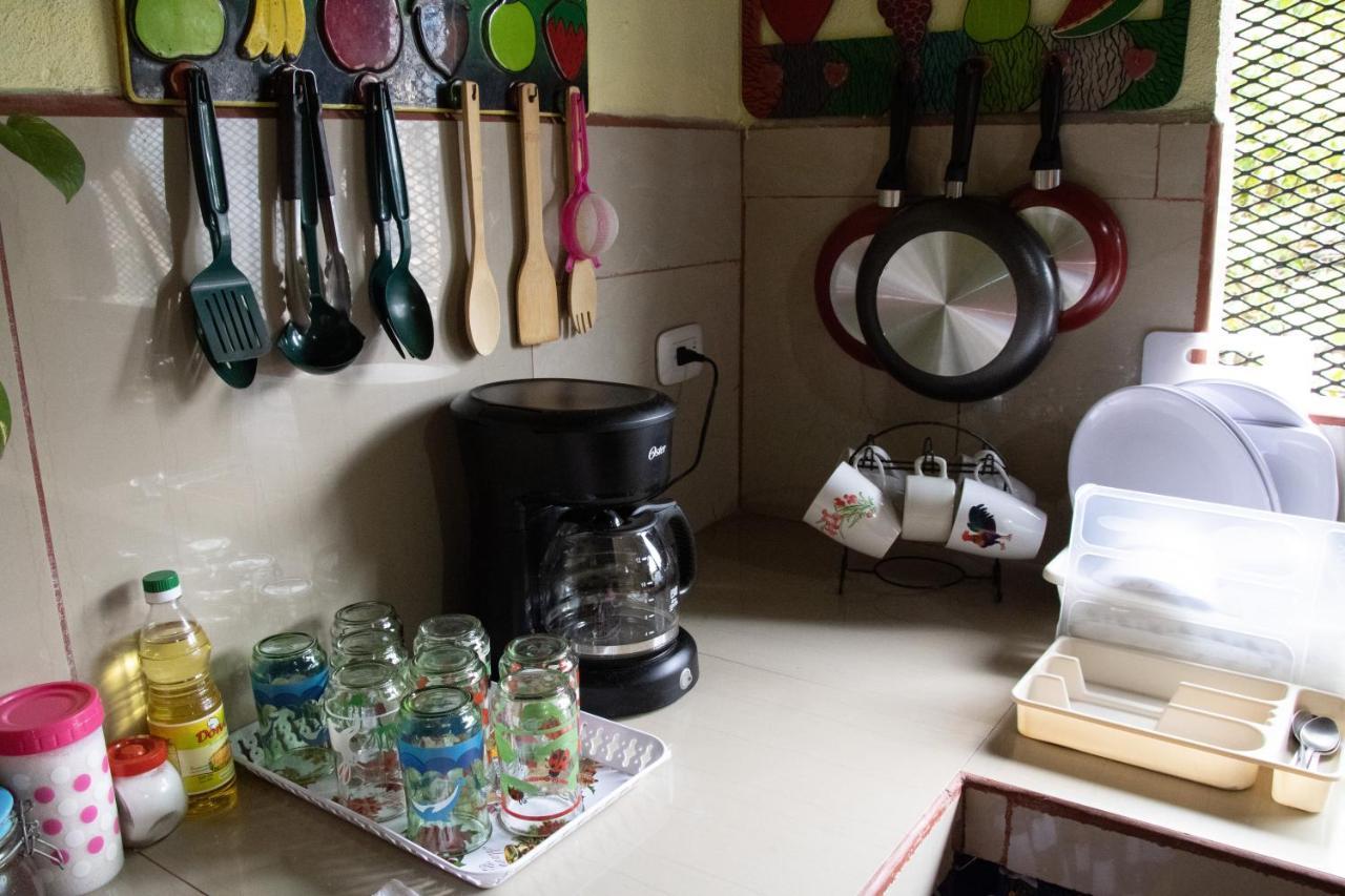 The Corner House Apartment Tortuguero Bagian luar foto