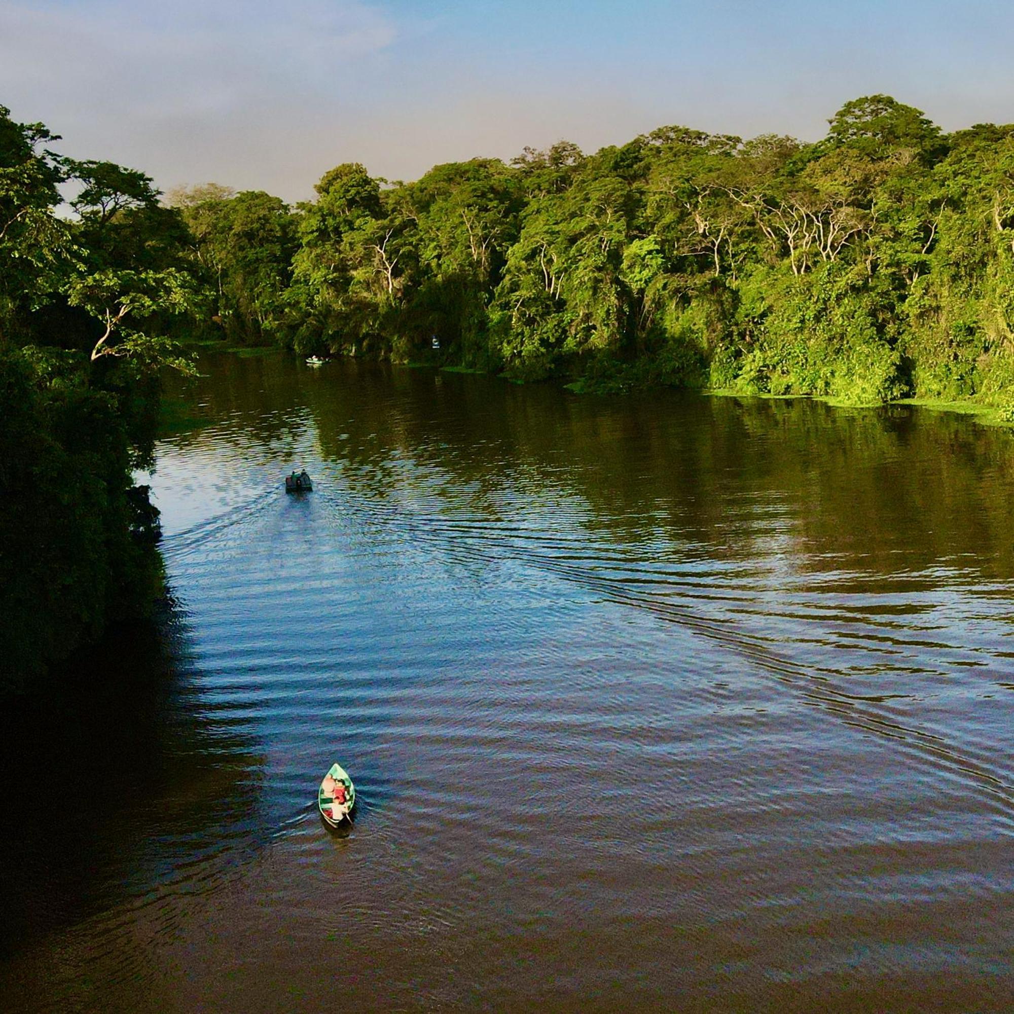 The Corner House Apartment Tortuguero Bagian luar foto